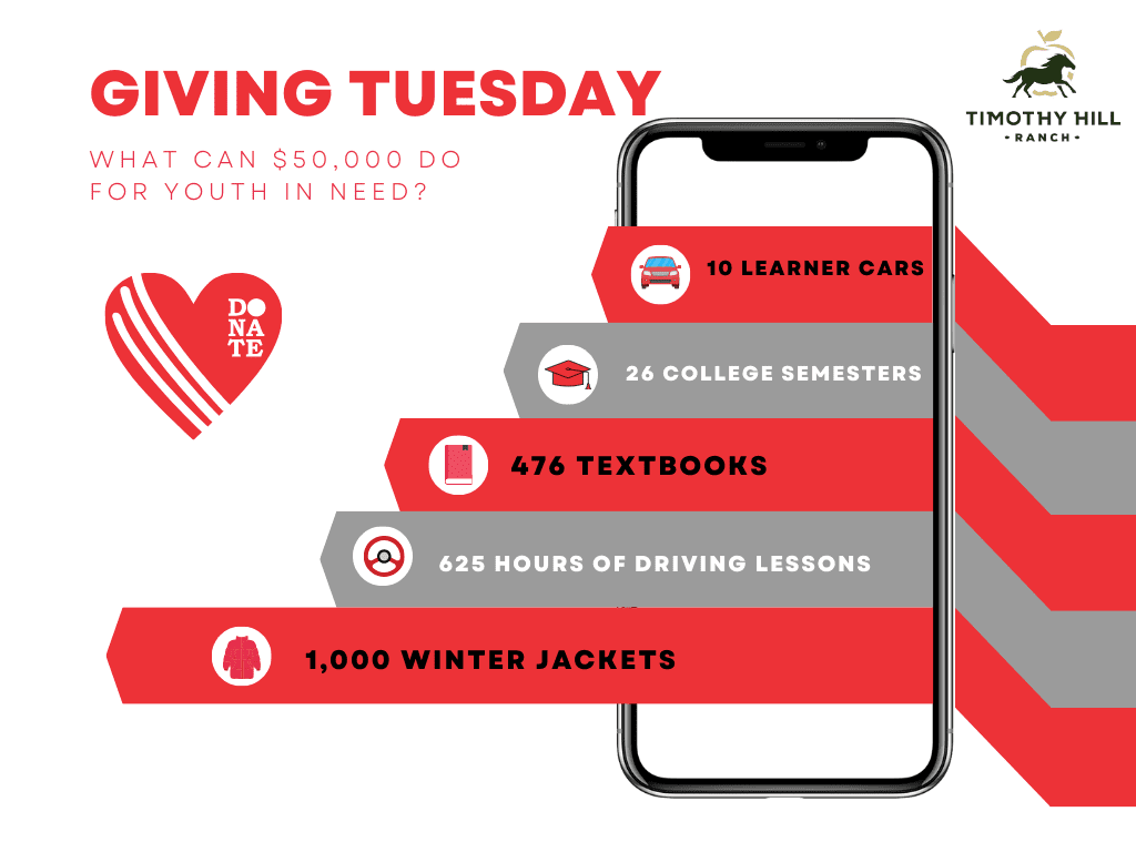 Giving Tuesday Info Graph